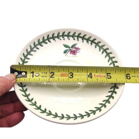 Portmeirion Botanic Garden "December" Teacup & Saucer Set With Purple Hellebore - Picture 13 of 14